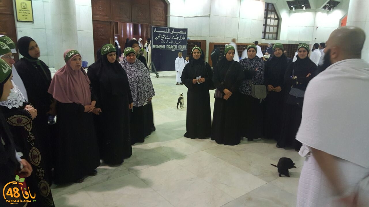 mo3tmrero lud  (7).jpg